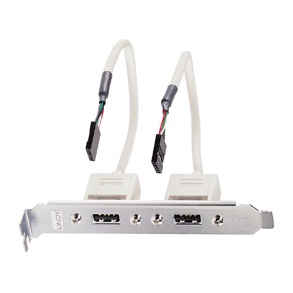 LINDY 2-PORT USB2.0 PC BACK PLATE (33147)