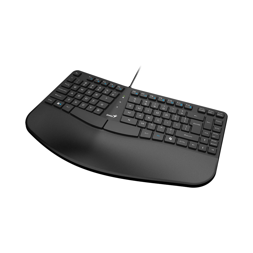 GENIUS KB-700 ERGONOMIC 1.5M USB KEYBOARD WITH PALM REST