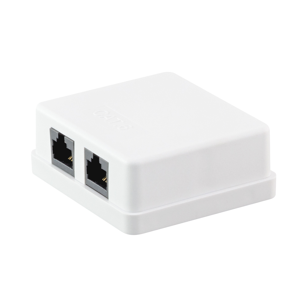 DOUBLE CAT6 WALLBOX
